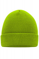 Lime (ca. Pantone 369C)